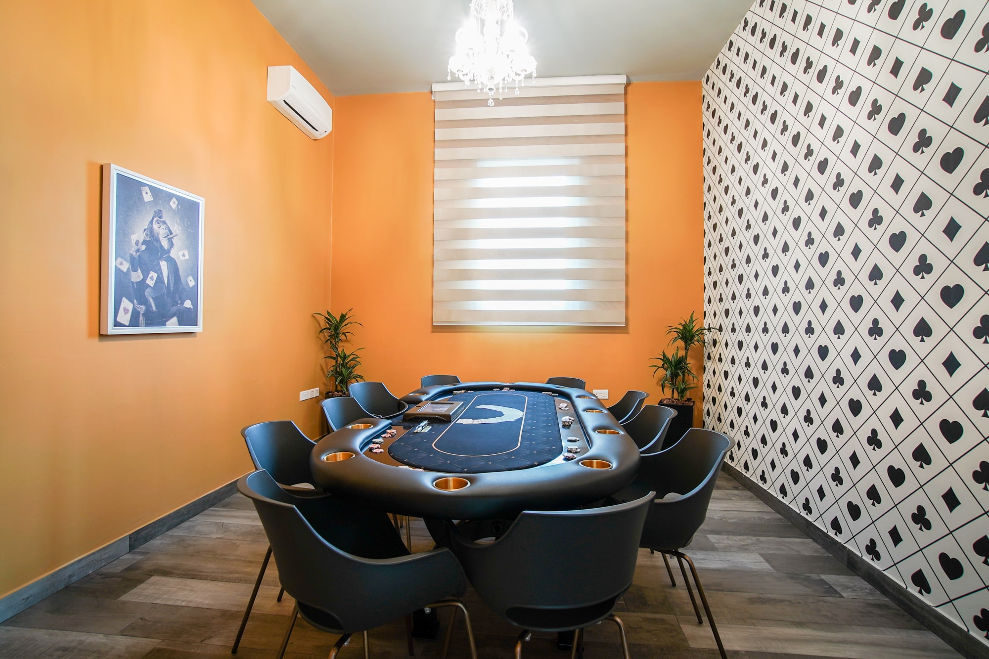 Barracuda Lush Properties