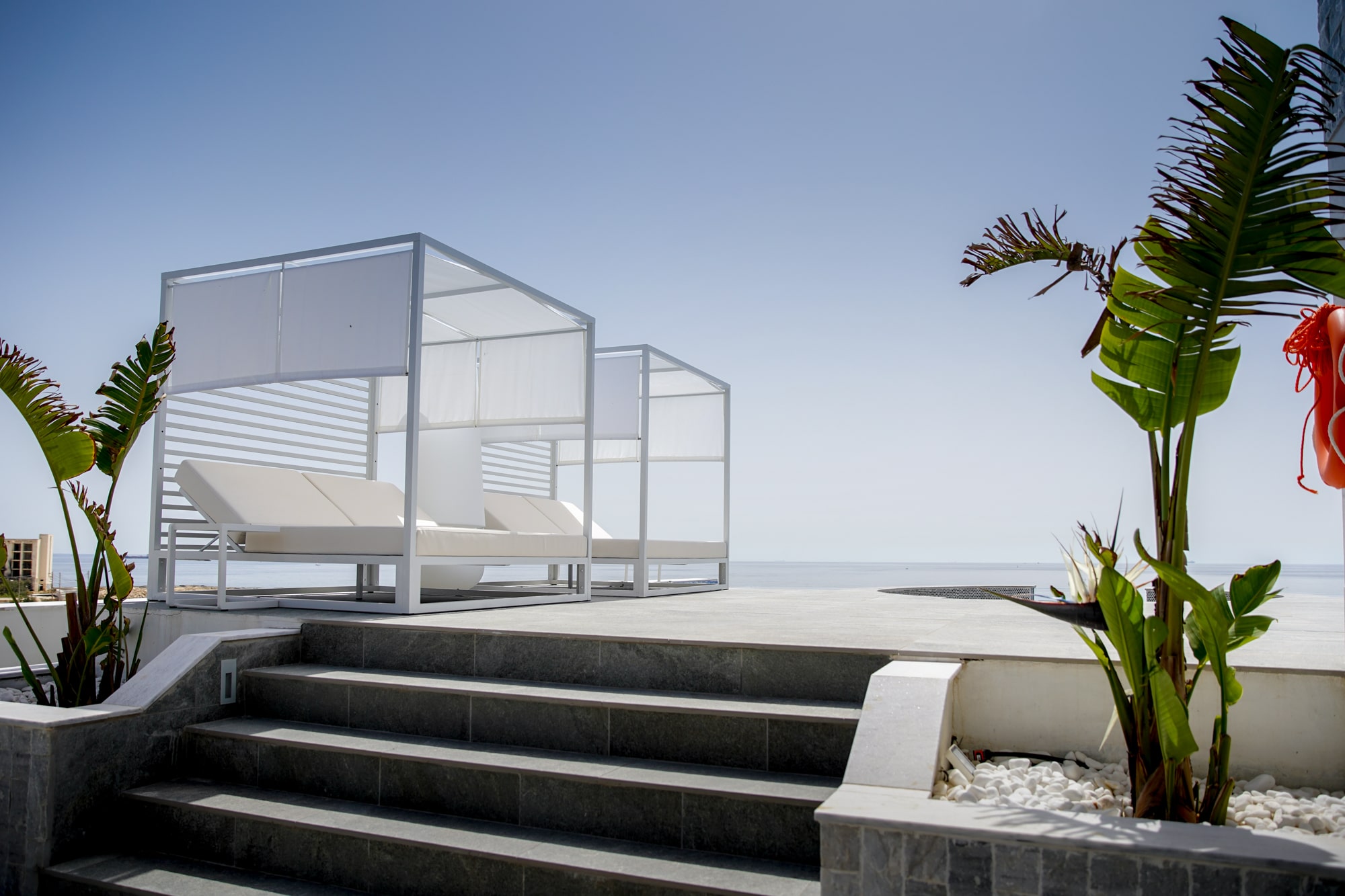 Barracuda Lush Properties